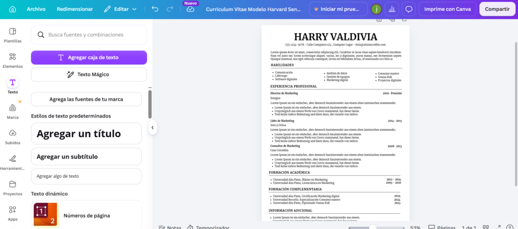 Personalizando currículum en Canva con información real